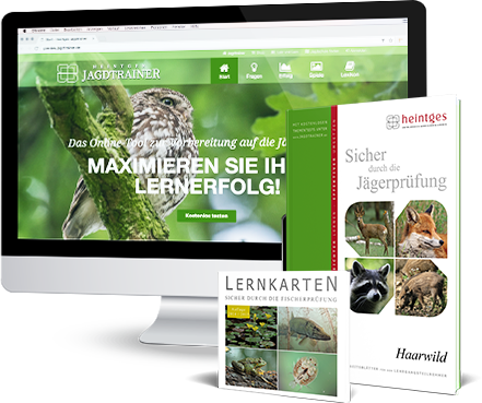 professionelle Lehrmaterialien