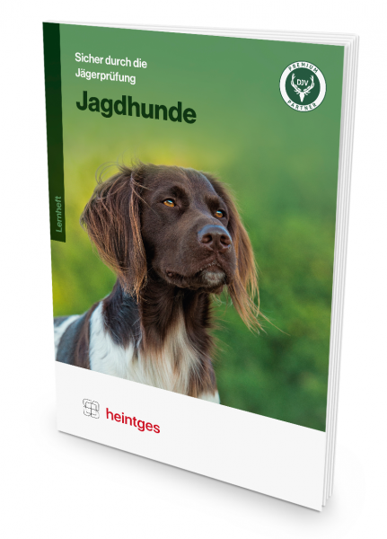 Jagdhunde