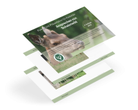 Ansprechen von Schalenwild Ansprechen von Schalenwild