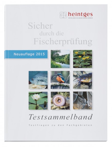 Testmethode