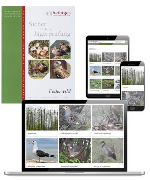 Kombiangebot Arbeitsblätter Federwild Print & Digital