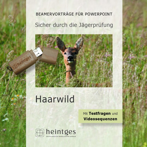 Haarwild