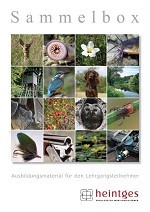 Sammelbox Jagd