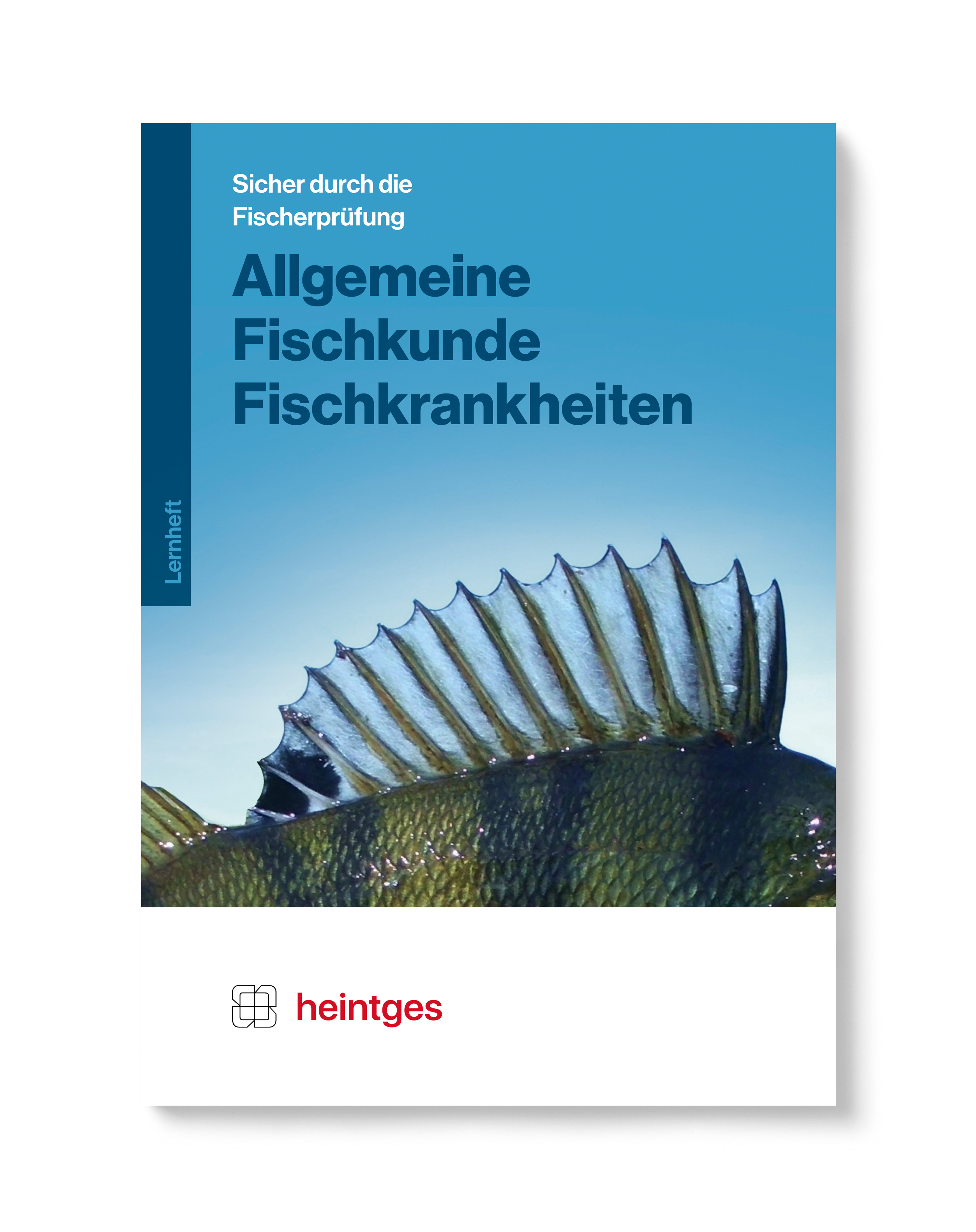 Allgemeine Fischkunde Und Fischkrankheiten - Heintges - Sicher Durch ...