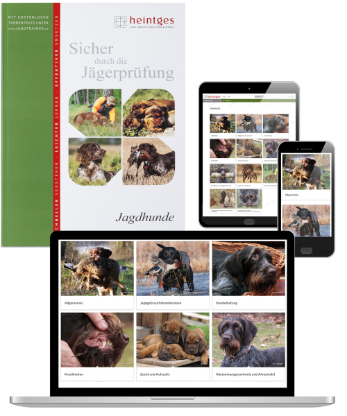 Kombiangebot Arbeitsblätter Jagdhunde (Print & Digital)