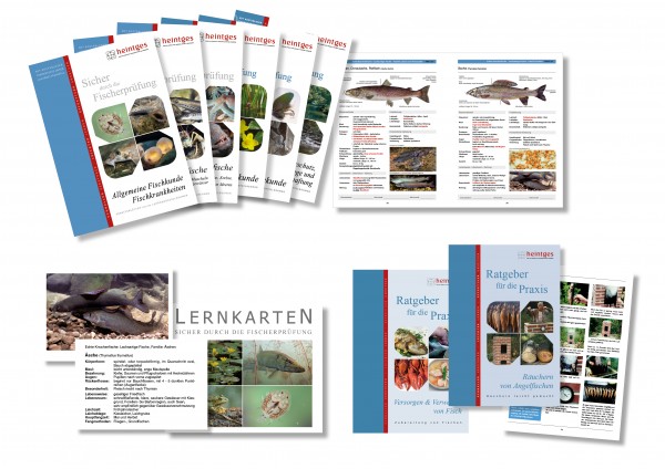 Komplettangebot Fisch