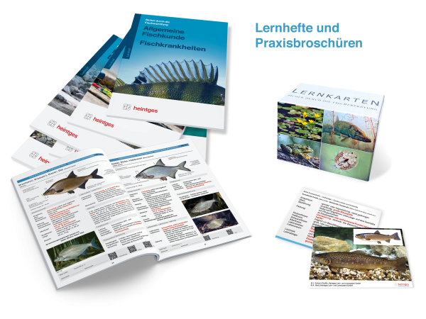 Komplettangebot Fisch