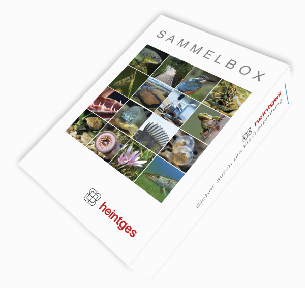 Sammelbox - Sicher durch die Fischerprüfung