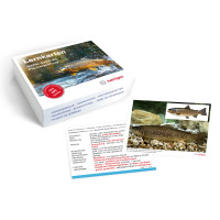 Lernkarten - Sicher durch die Fischerprüfung Lernkarten - Sicher durch die Fischerprüfung