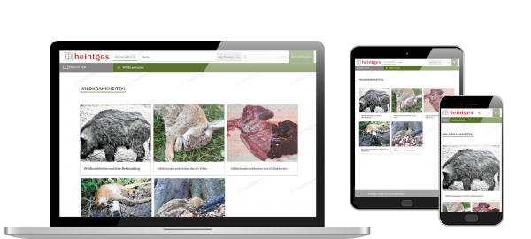Digitale Arbeitsblätter Wildkrankheiten, Versorgen & Verwerten von Wild