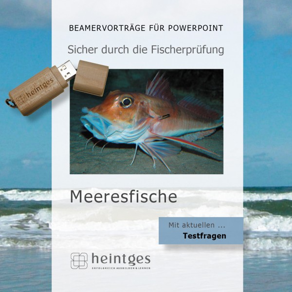 Meeresfische - Die wichtigsten Neunaugen, Fische, Krebse, Kopffüßer und Muscheln in Europas Meeren