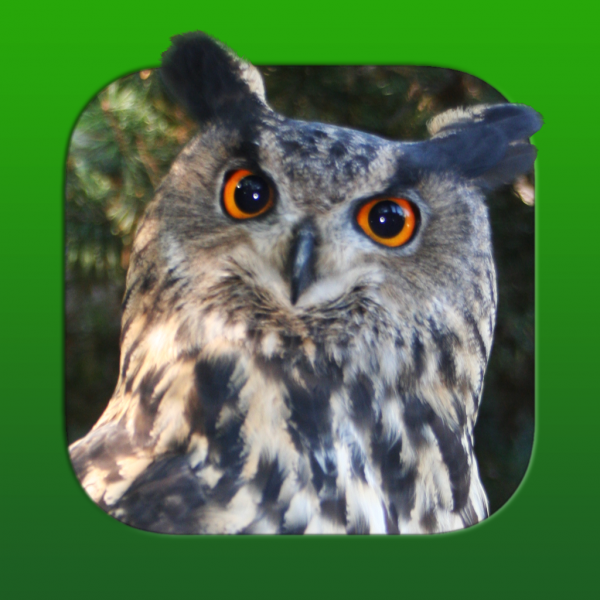 App Jagdtrainer (iOS und Google Play Store)