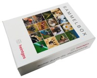 Sammelbox Sammelbox