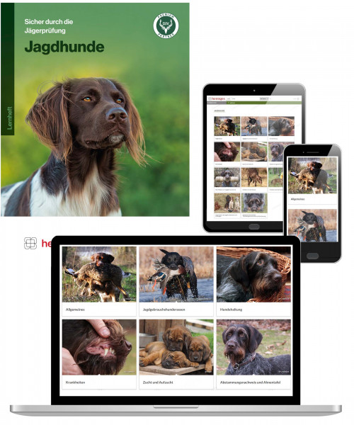Kombiangebot Lernunteralgen Jagdhunde (Print & Digital)