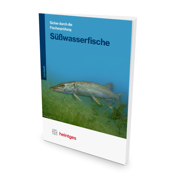 Süßwasserfische - Neunaugen, Fische, Krebse und Muscheln der Binnengewässer