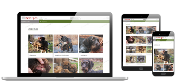 Digitales Arbeitsblatt Jagdhunde