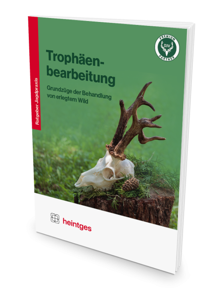 Ratgeber Jagdpraxis Trophäenbearbeitung