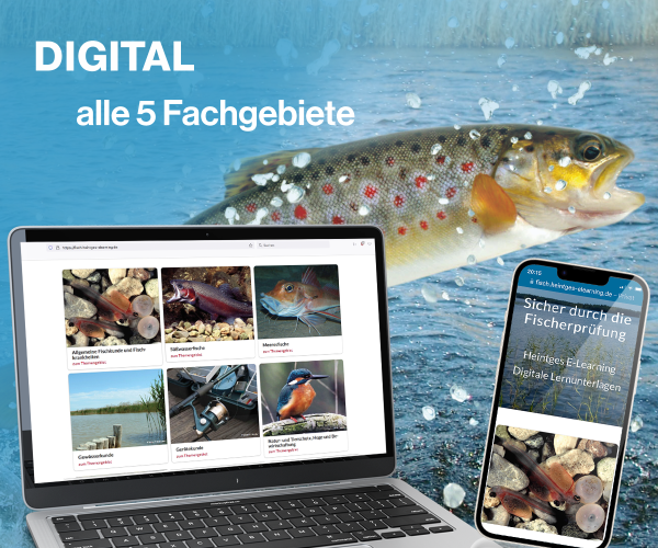 Digitale Lernunterlagen Grundaustattung Fisch
