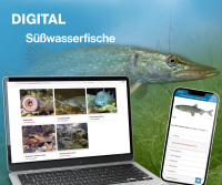 Digitale Lernunterlage Süßwasserfische Digitale Lernunterlage Süßwasserfische