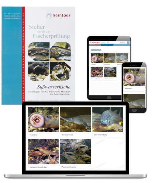 Kombiangebot Lernunterlagen Süßwasserfische Print & Digital