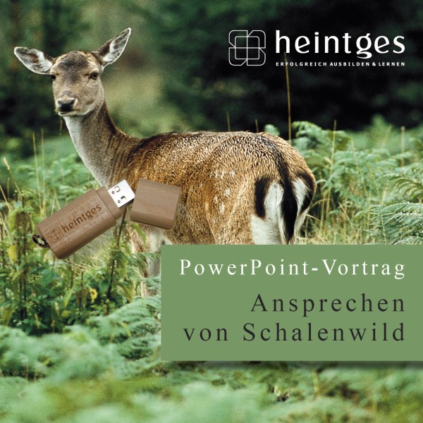 Ansprechen von Schalenwild