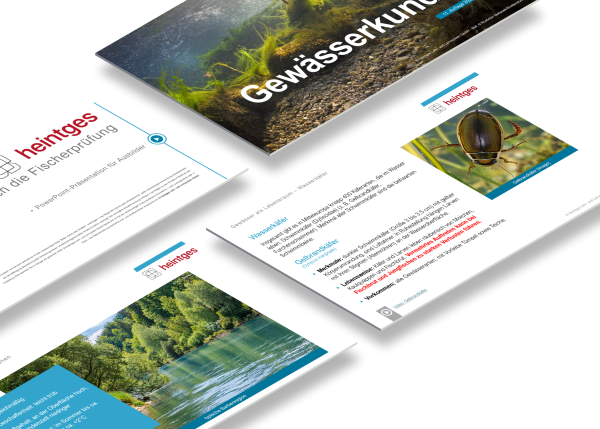 Gewässerkunde