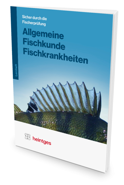 Allgemeine Fischkunde und Fischkrankheiten