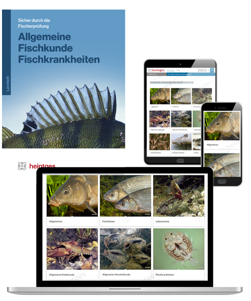 Kombiangebot Lernunteralgen Allgemeine Fischkunde und Fischkrankheiten (Print & Digital)