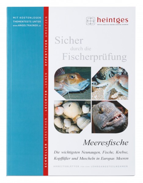 Meeresfische - Die wichtigsten Neunaugen, Fische, Krebse, Kopffüßer und Muscheln in Europas Meeren