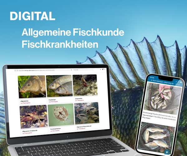 Digitale Lernunterlage Allgemeine Fischkunde und Fischkrankheiten