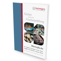 Meeresfische - Die wichtigsten Neunaugen, Fische, Krebse, Kopffüßer und Muscheln in Europas Meeren Meeresfische - Die wichtigsten Neunaugen, Fische, Krebse, Kopffüßer und Muscheln in Europas Meeren