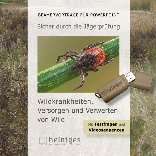 Wildkrankheiten, Versorgen & Verwerten von Wild