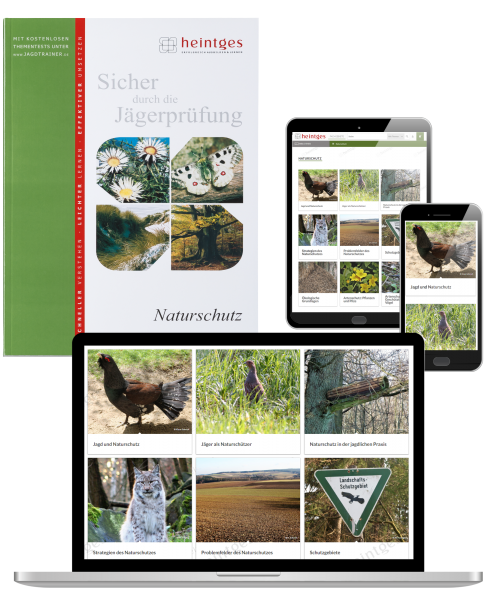 Kombiangebot Arbeitsblätter Naturschutz (Print & Digital)
