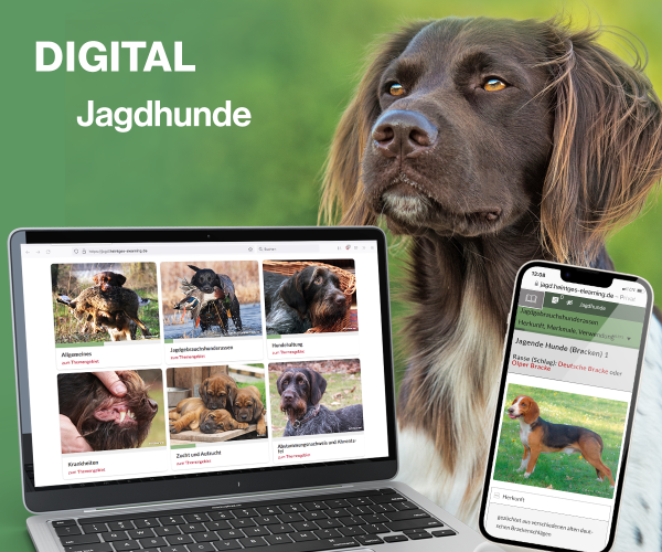 Digitale Lernunterlagen Jagdhunde