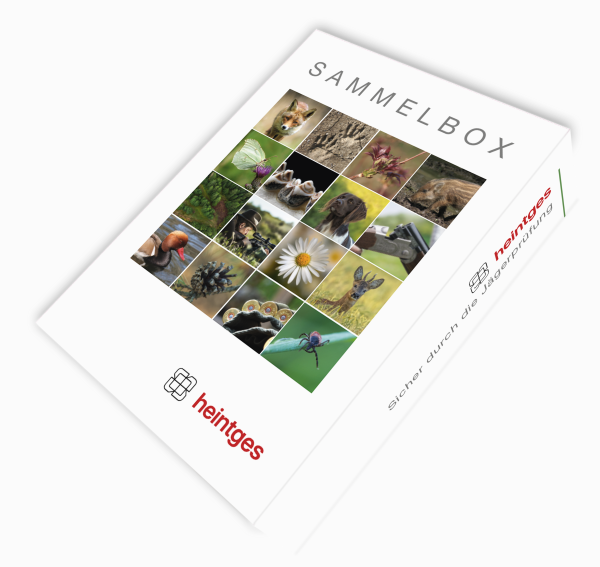 Sammelbox - Sicher durch die Jägerprüfung