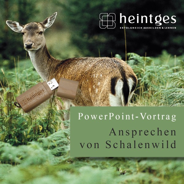 Ansprechen von Schalenwild - PowerPoint-Vortrag