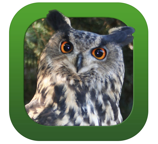 Heintges-Jagdtrainer