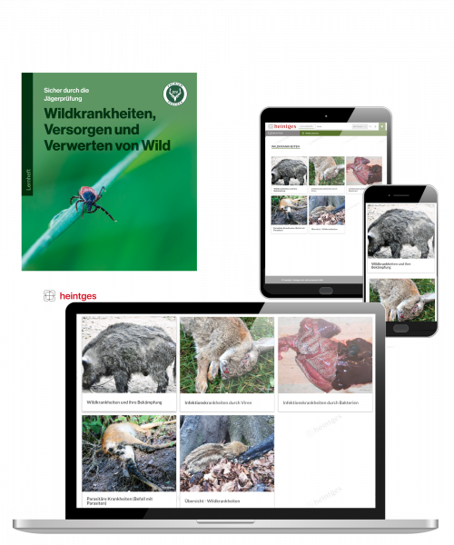 Kombiangebot Arbeitsblätter Wildkrankheiten, Versorgen und Verwerten von Wild Print & Digital