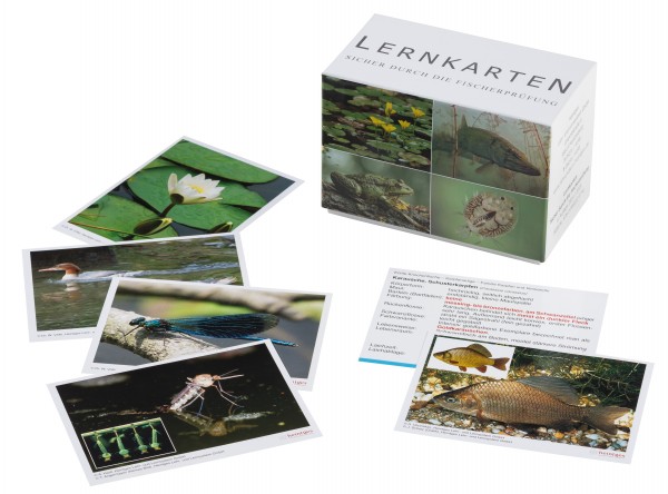 Lernkarten - Sicher durch die Fischerprüfung
