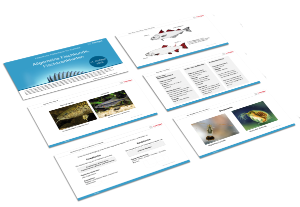 Allgemeine Fischkunde und Fischkrankheiten