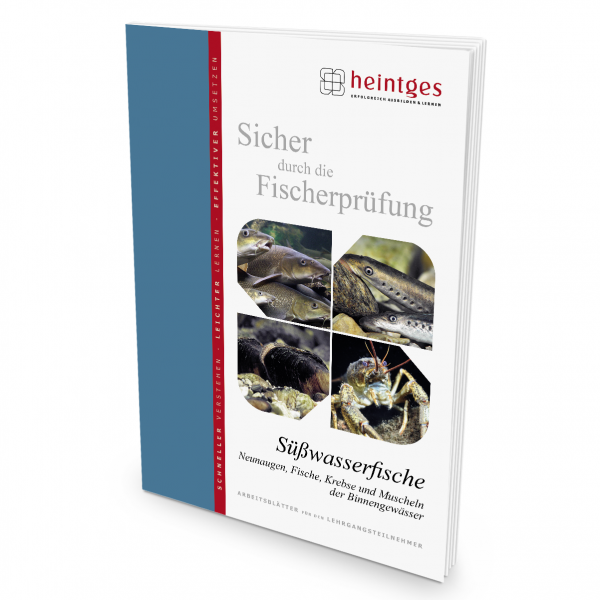 Süßwasserfische - Neunaugen, Fische, Krebse und Muscheln der Binnengewässer