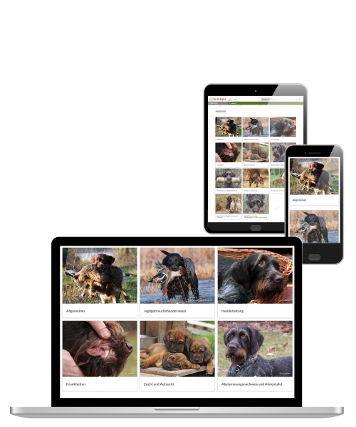 Digitale Arbeitsblätter Jagdhunde