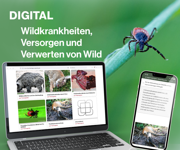 Digitale Lernunterlagen Wildkrankheiten, Versorgen & Verwerten von Wild