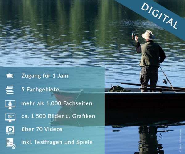 Digitale Arbeitsblätter Grundaustattung Fisch