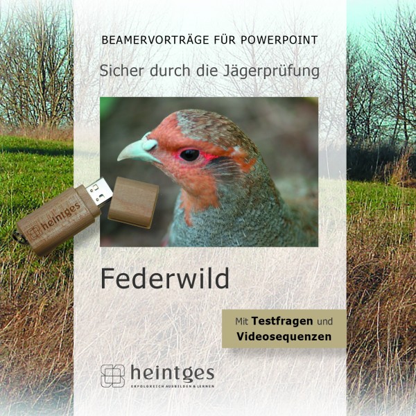 Federwild