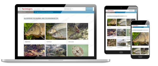 Digitale Arbeitsblätter Allgemeine Fischkunde und Fischkrankheiten