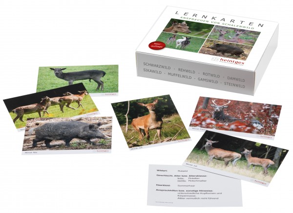 Lernkarten Ansprechen von Schalenwild
