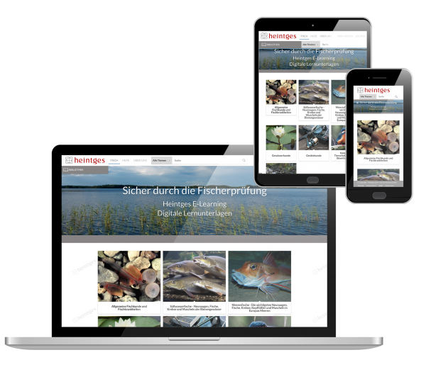 Digitale Arbeitsblätter Grundaustattung Fisch